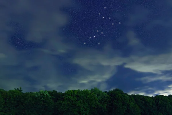 Canis Major Constelación Estrellas Cielo Nocturno Racimo Estrellas Espacio Profundo — Foto de Stock