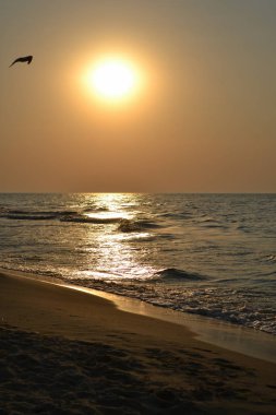 Eski tarihi bir ev yerine Tadeush Kostyushko Doğum