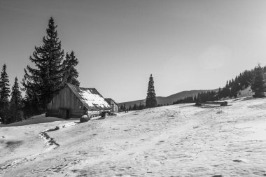 Kış yürüyüşü sırasında Karpatlar bölgesindeki dağ manzarası