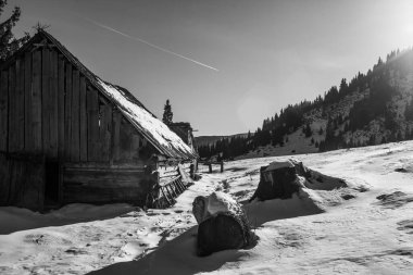 Kış yürüyüşü sırasında Karpatlar bölgesindeki dağ manzarası