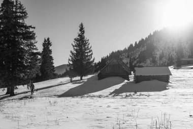 Kış yürüyüşü sırasında Karpatlar bölgesindeki dağ manzarası