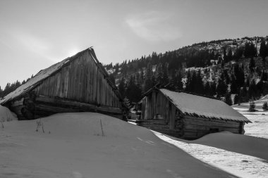 Kış yürüyüşü sırasında Karpatlar bölgesindeki dağ manzarası