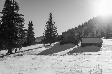 Kış yürüyüşü sırasında Karpatlar bölgesindeki dağ manzarası