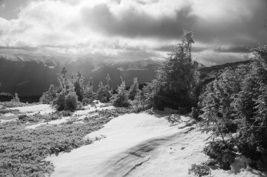 Kış yürüyüşü sırasında Karpatlar bölgesindeki dağ manzarası