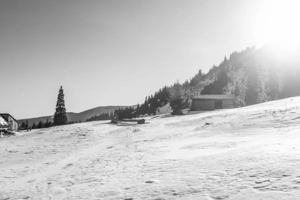 Mountain Landscape Carpathian Region Winter Hiking — Stock Photo, Image