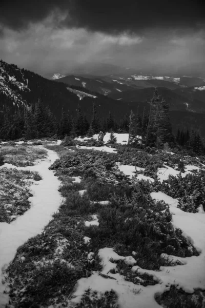 Paisaje Montañoso Región Los Cárpatos Durante Invierno —  Fotos de Stock