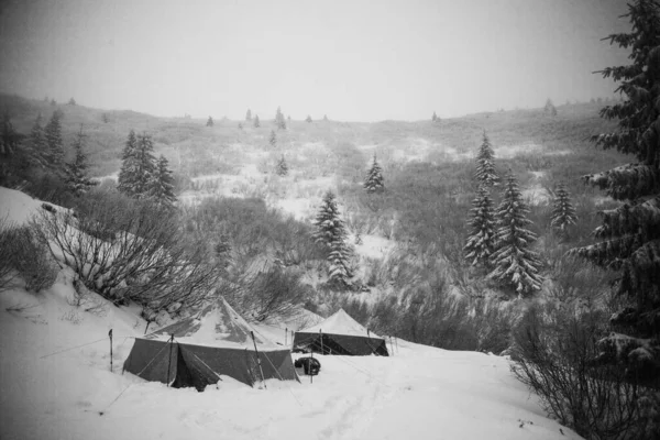 Black and white winter mountain landscape in the woods with the tents