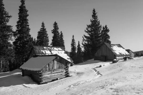 Bergslandskap Karpaterna Vintern Vandring — Stockfoto