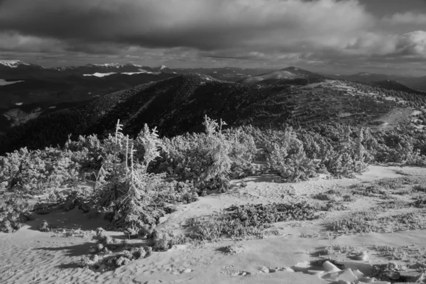 Paisaje Montañoso Región Los Cárpatos Durante Invierno —  Fotos de Stock