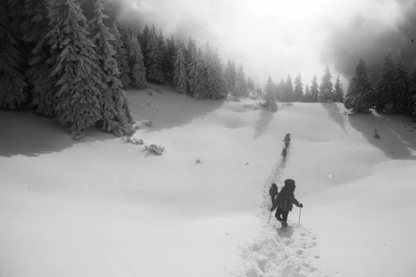 Alpinisten Bergen Kantelen Zwart Wit Winterlandschap Met Silhouten — Stockfoto