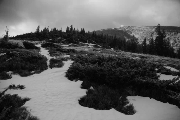 Berglandschap Karpaten Tijdens Winterwandelingen — Stockfoto