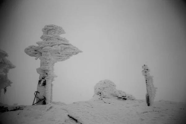 Zwart Wit Foto Van Winterbegraafplaats — Stockfoto