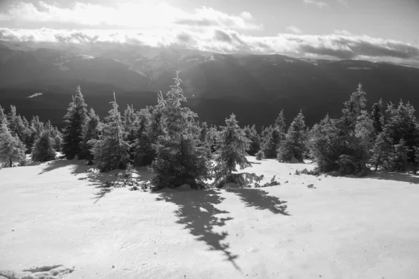 冬のハイキング中にカルパチア地方の山の風景 — ストック写真