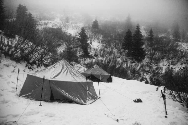 Paisagem Montanha Inverno Preto Branco Floresta Com Tendas — Fotografia de Stock