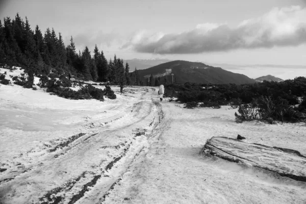 Paisagem Montanhosa Região Dos Cárpatos Durante Caminhadas Inverno — Fotografia de Stock