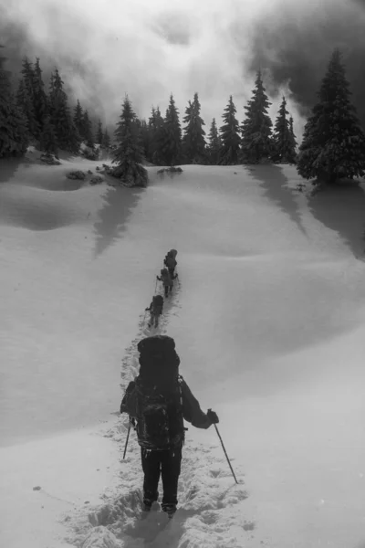 Alpinistas Las Montañas Vuelco Paisaje Invernal Blanco Negro Con Siluetas —  Fotos de Stock