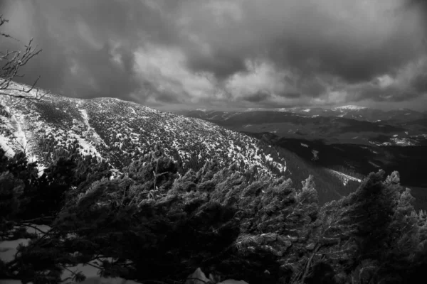 Paisagem Montanhosa Região Dos Cárpatos Durante Caminhadas Inverno — Fotografia de Stock