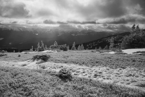 Paisaje Montañoso Región Los Cárpatos Durante Invierno —  Fotos de Stock