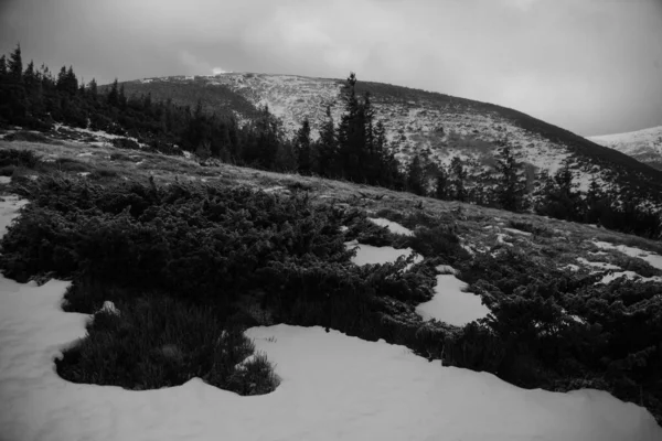 Paisaje Montañoso Región Los Cárpatos Durante Invierno — Foto de Stock