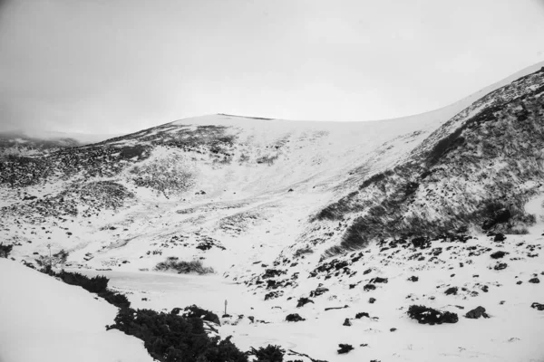 Mountain Landscape Carpathian Region Winter Hiking — Stock Photo, Image