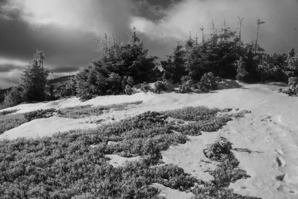 冬のハイキング中にカルパチア地方の山の風景 — ストック写真