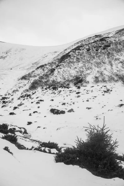 Berglandschap Karpaten Tijdens Winterwandelingen — Stockfoto