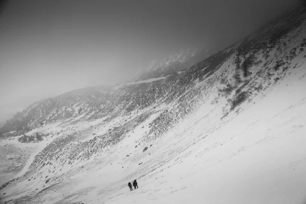 Berglandschap Karpaten Tijdens Winterwandelingen — Stockfoto