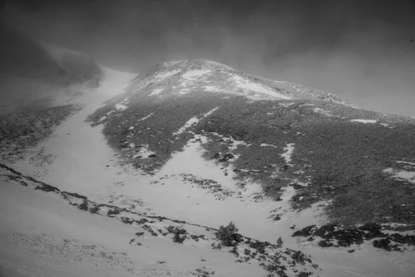 Berglandschaft Den Karpaten Beim Winterwandern — Stockfoto