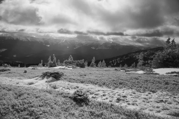 Paysage Montagneux Dans Région Des Carpates Pendant Randonnée Hivernale — Photo