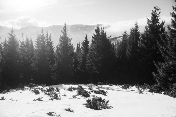 冬季徒步旅行中喀尔巴阡山脉地区的山地景观 — 图库照片