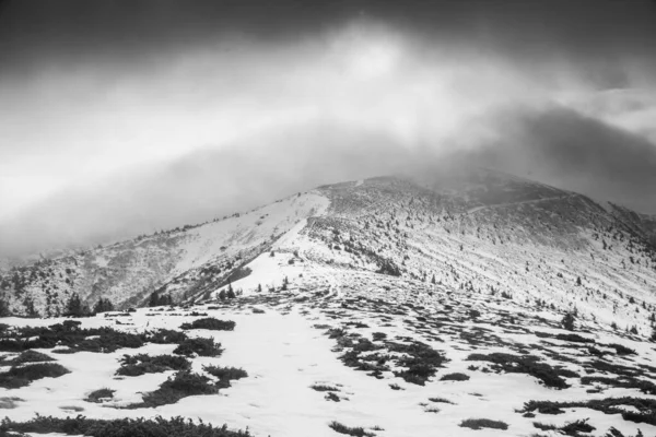 Paisagem Montanhosa Região Dos Cárpatos Durante Caminhadas Inverno — Fotografia de Stock