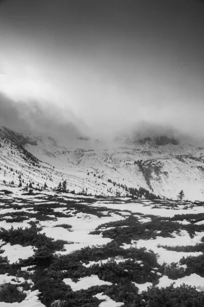 Paisagem Montanhosa Região Dos Cárpatos Durante Caminhadas Inverno — Fotografia de Stock