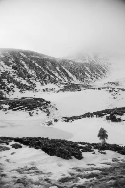 Paesaggio Montano Nella Regione Dei Carpazi Durante Escursioni Invernali — Foto Stock