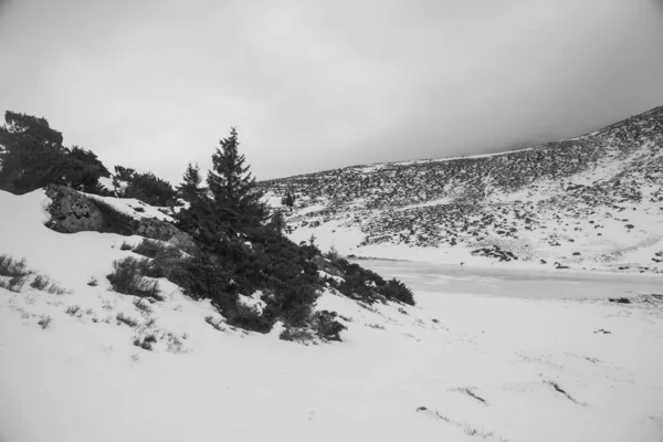 Paesaggio Montano Nella Regione Dei Carpazi Durante Escursioni Invernali — Foto Stock