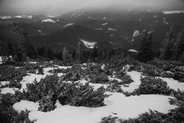 Paesaggio Montano Nella Regione Dei Carpazi Durante Escursioni Invernali — Foto Stock