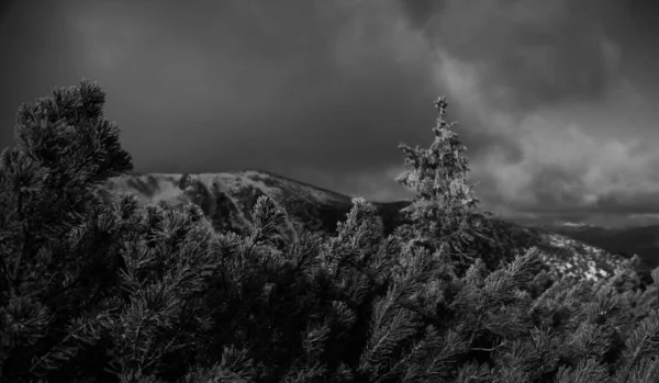 Berglandschap Karpaten Tijdens Winterwandelingen — Stockfoto