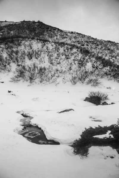 Kış Yürüyüşü Sırasında Karpatlar Bölgesindeki Dağ Manzarası — Stok fotoğraf