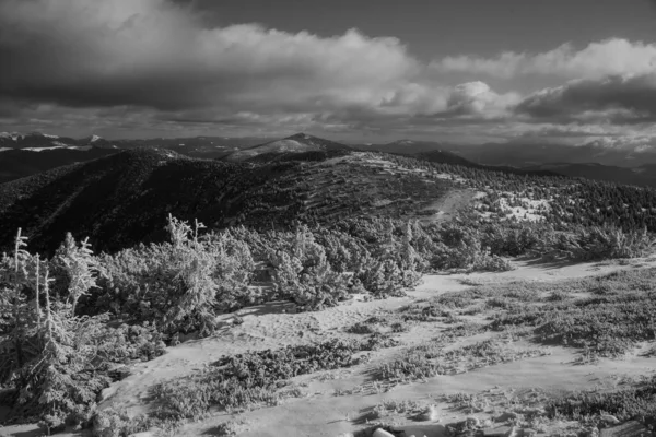 Paisagem Montanhosa Região Dos Cárpatos Durante Caminhadas Inverno — Fotografia de Stock