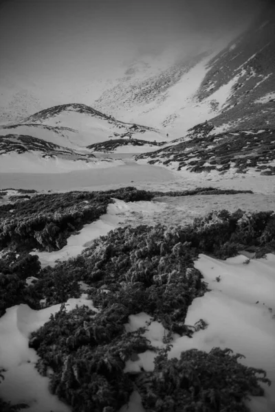 Kış Yürüyüşü Sırasında Karpatlar Bölgesindeki Dağ Manzarası — Stok fotoğraf