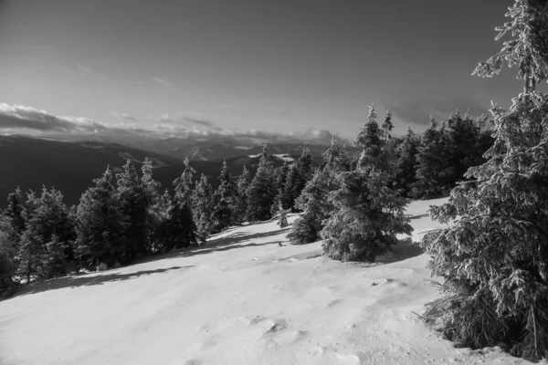 Berglandschap Karpaten Tijdens Winterwandelingen — Stockfoto
