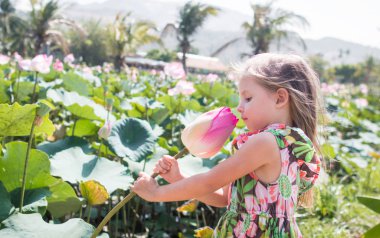 Bu güzel Nilüfer veya lotus çiçeği. Kız onun elinde bir çiçek tutun, o burnunu çekmek ve gülümseme.