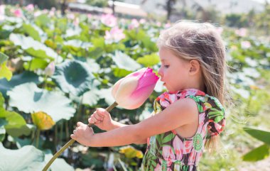 Bu güzel Nilüfer veya lotus çiçeği. Kız onun elinde bir çiçek tutun, o burnunu çekmek ve gülümseme.