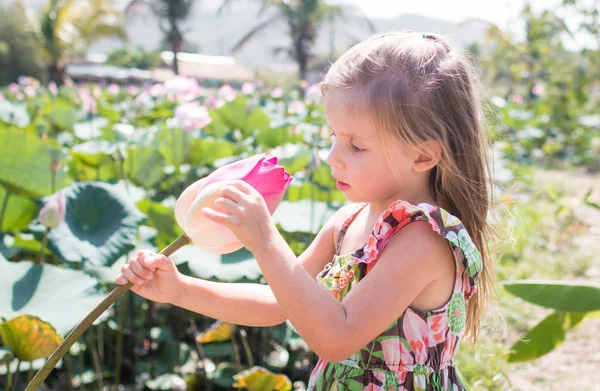 Bu güzel Nilüfer veya lotus çiçeği. Kız onun elinde bir çiçek tutun, o burnunu çekmek ve gülümseme.