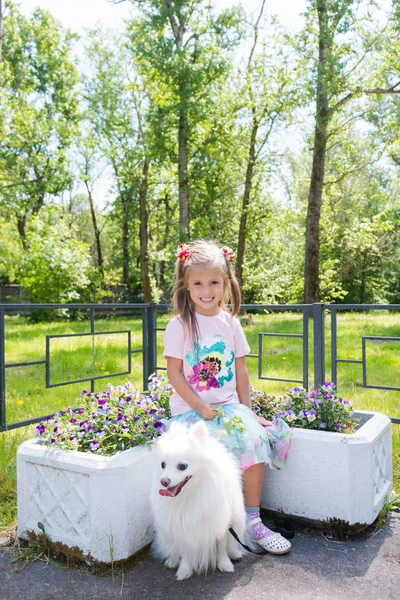 Belle petite fille assise sur un banc dans le parc avec son adorable chien Poméranien blanc — Photo