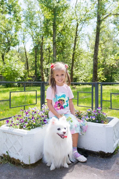 Menina bonita sentada no banco no parque com seu adorável cão branco da Pomerânia — Fotografia de Stock