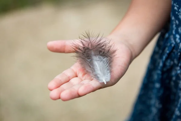 Sul palmo del bambino giace la piuma di un uccello Foto Stock Royalty Free