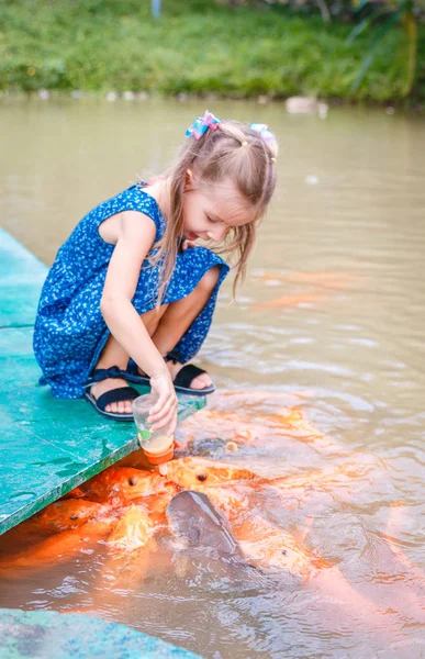 hungry gold asian fish eats food from bottle in the pond. little beautiful girl feeds fish