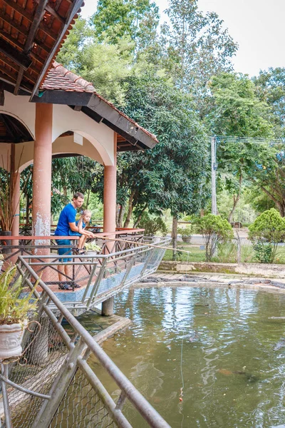 Papa et sa fille nourrissaient des crocodiles, une ferme de crocodiles, des crocodiles nourris de poulet attaché à une corde. Baie de Yang, Vietnam . — Photo