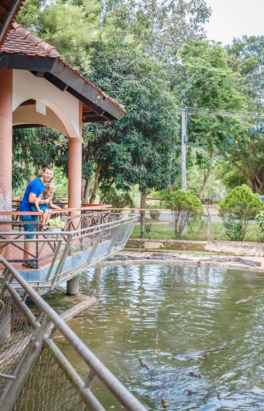 Papa et sa fille nourrissaient des crocodiles, une ferme de crocodiles, des crocodiles nourris de poulet attaché à une corde. Baie de Yang, Vietnam . — Photo