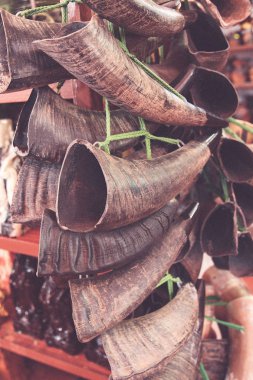Eski içki boynuzu, müzik kornası, vietnam, autentific, tarihi. boynuzları ile alışveriş